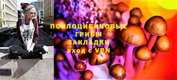 спайс Белокуриха