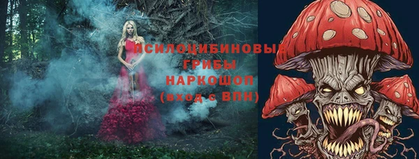 спайс Белокуриха