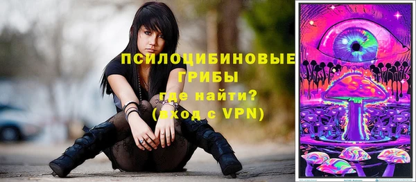 спайс Белокуриха