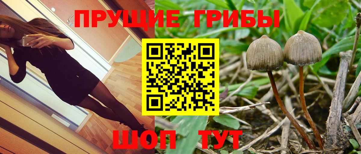 Галлюциногенные грибы MAGIC MUSHROOMS Вятские Поляны