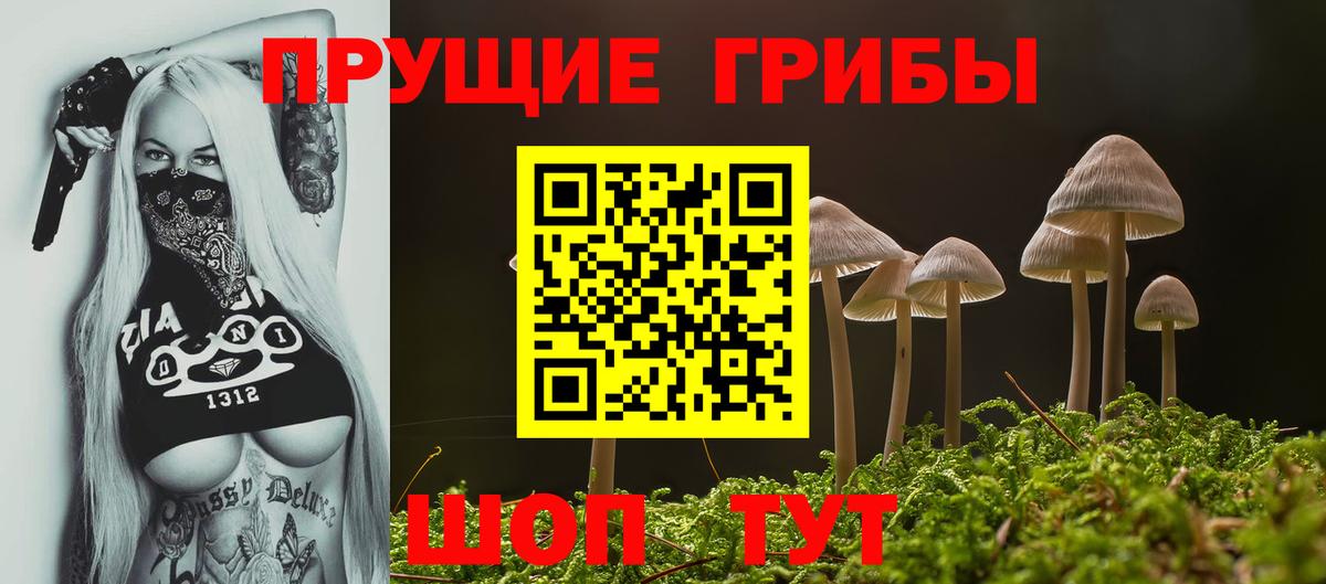 Вятские Поляны  Галлюциногенные грибы мухоморы  Вход с VPN 