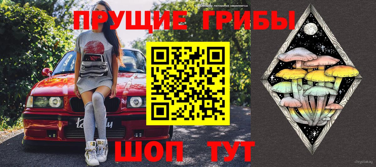 Псилоцибиновые грибы GOLDEN TEACHER  даркнет сайт  Вятские Поляны 